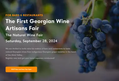 Screenshot of wowwine.ge