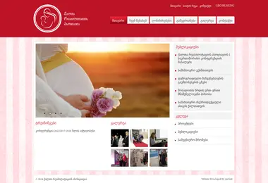 wra.org.ge-ის ეკრანის სურათი