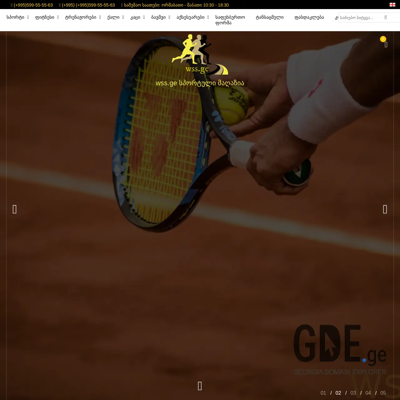 Screenshot of the site wss.ge at 2026-02-27