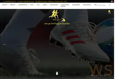 wss.ge-ის ეკრანის სურათი