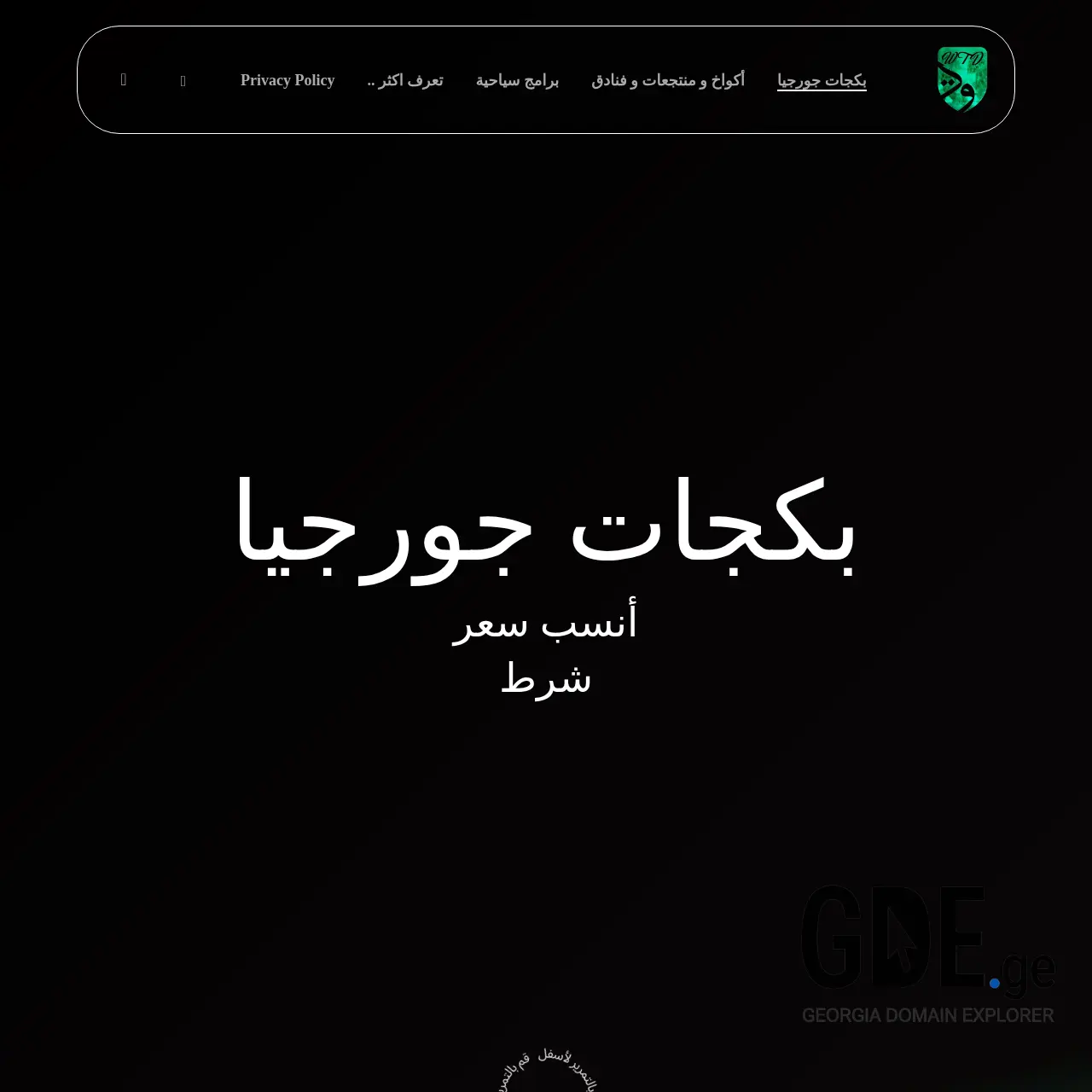 Screenshot of the site wtd.ge at 2025-12-12