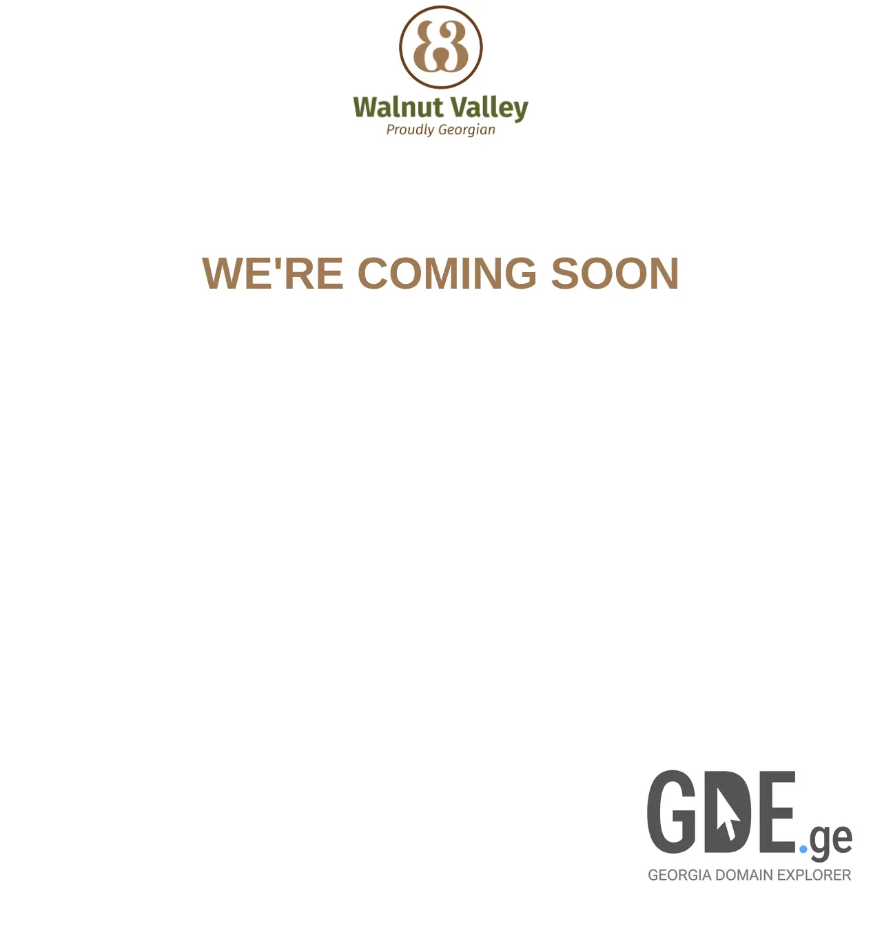 Screenshot of the site wv.ge at 2025-12-03