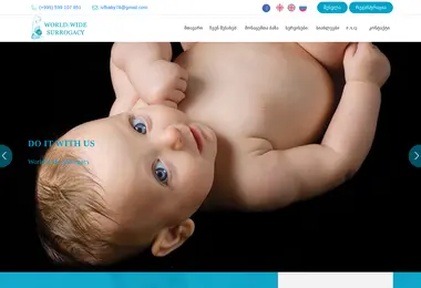 Screenshot of wws.ge