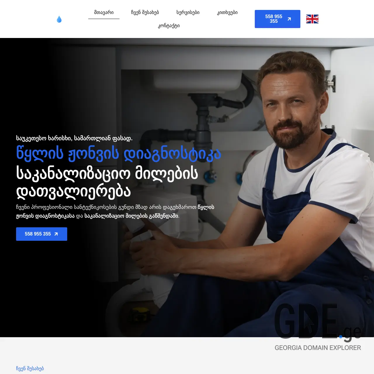 Screenshot of the site wylisjonvisdiagnostireba.ge at 2026-02-26