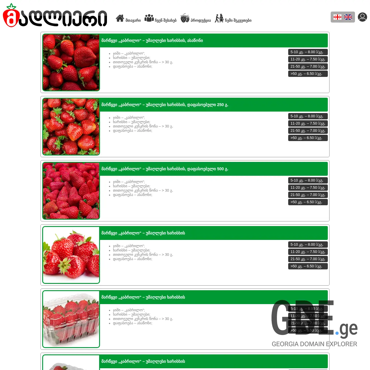 Screenshot of the site xendro.ge at 2026-02-05