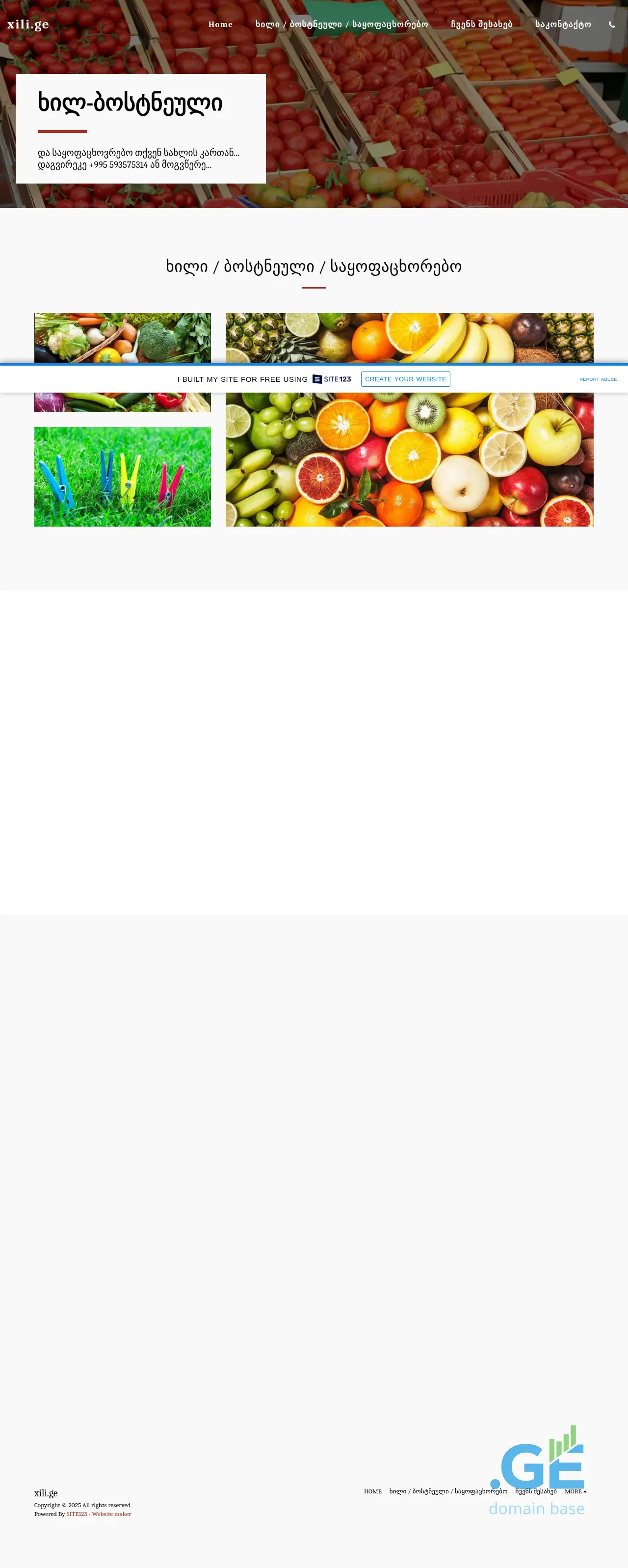 Screenshot of the site xili.ge