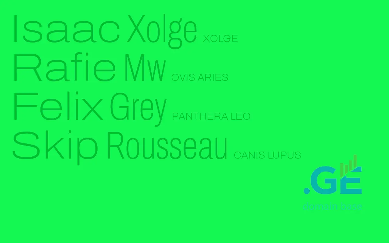 Screenshot of the site xol.ge