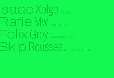 Screenshot of xol.ge
