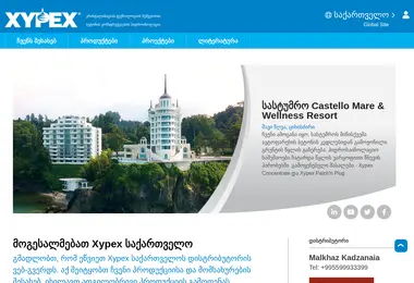 Screenshot of xypex.ge