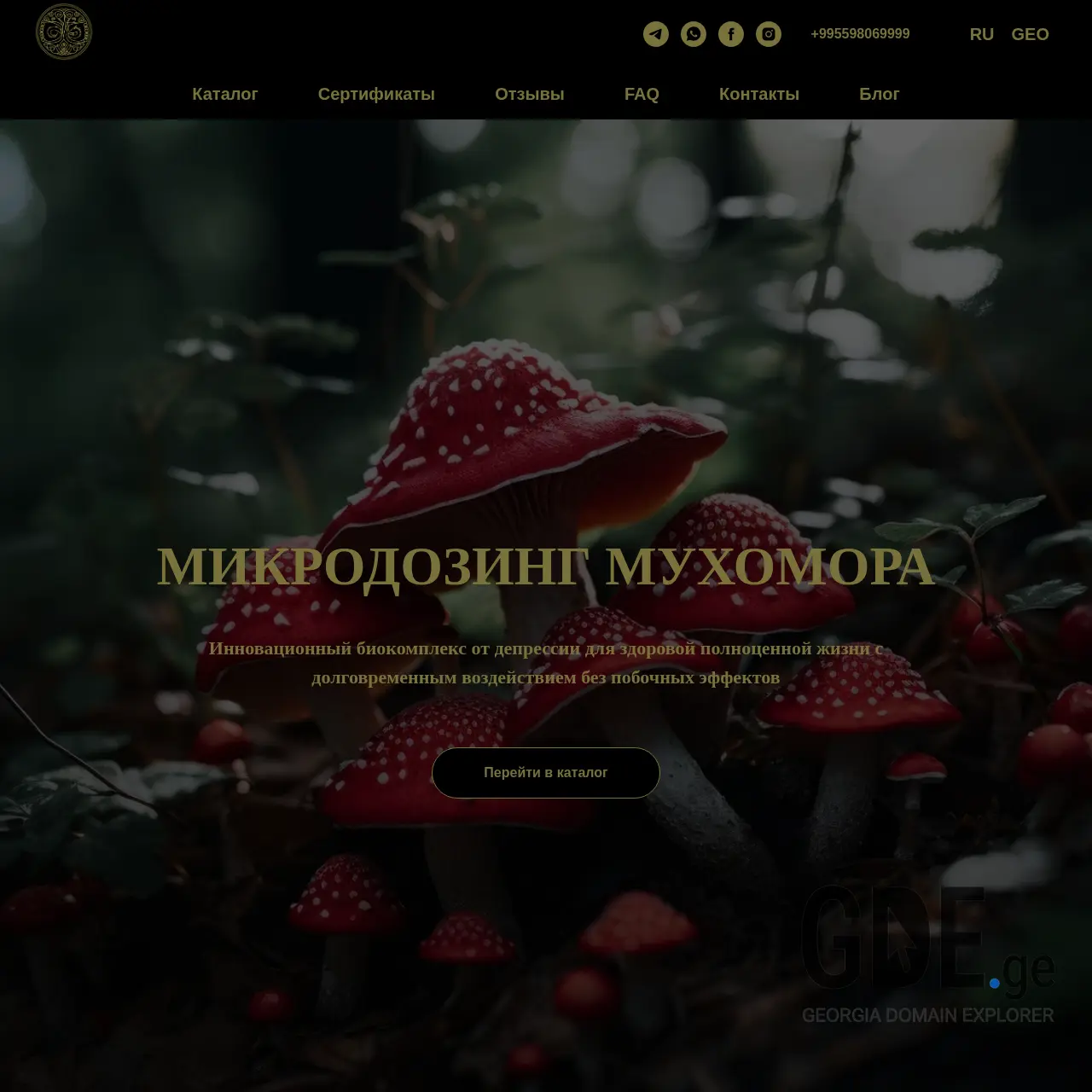 Screenshot of the site ygg.ge at 2025-12-12