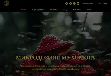 Предпросмотр от 12.12.2025