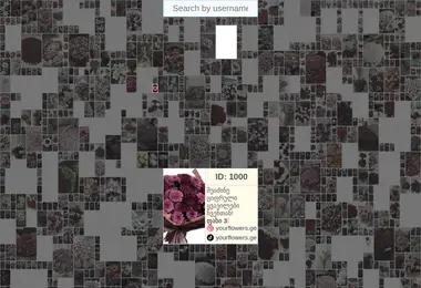 Preview from 12.12.2025