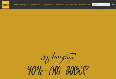 Скриншот ytong.ge