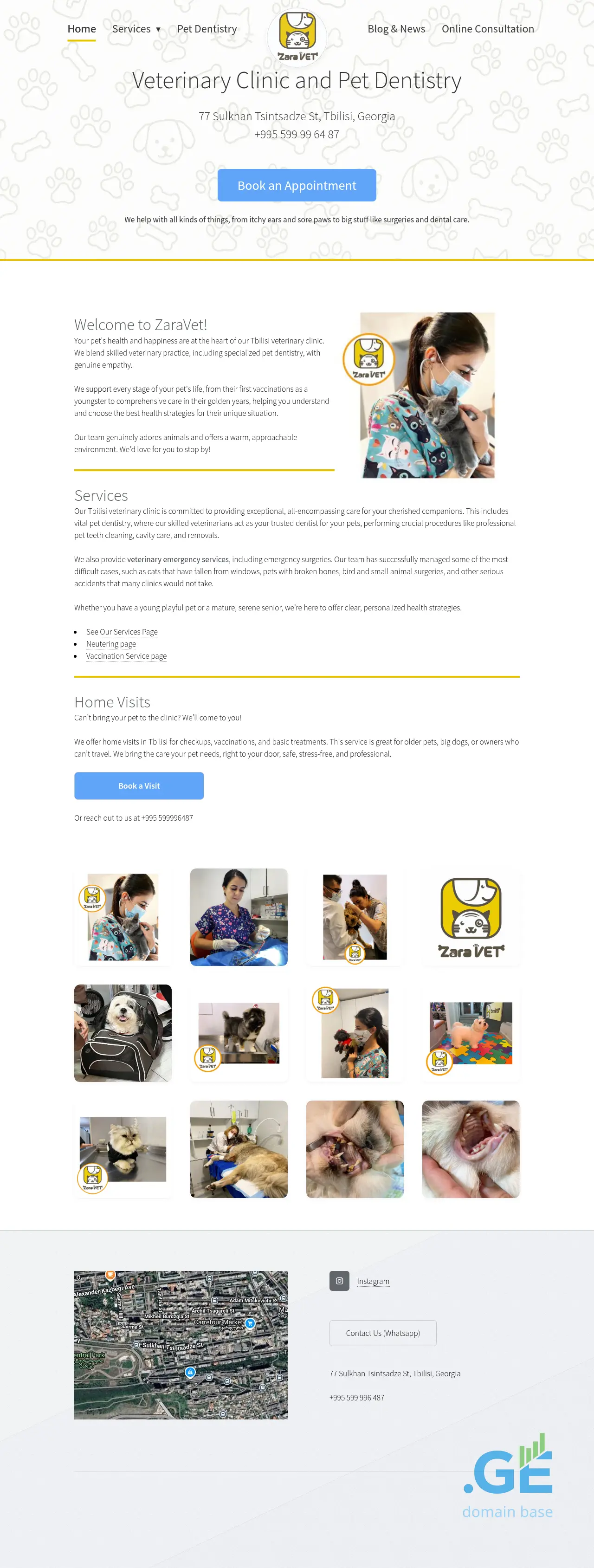 Screenshot of the site zaravet.ge