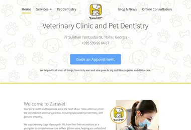 Screenshot of zaravet.ge