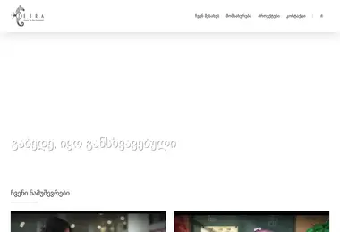 Screenshot of zebrastudio.ge