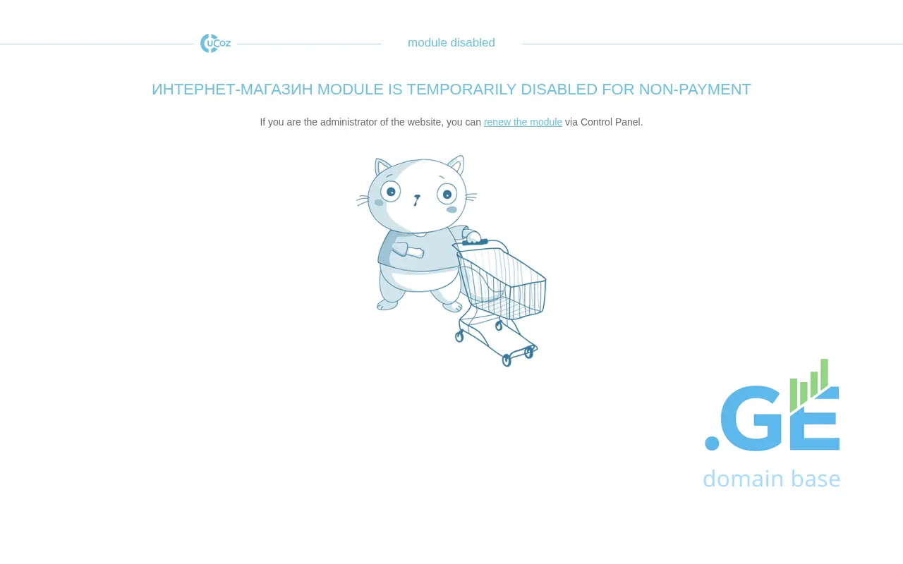 Screenshot of the site zenstore.ge