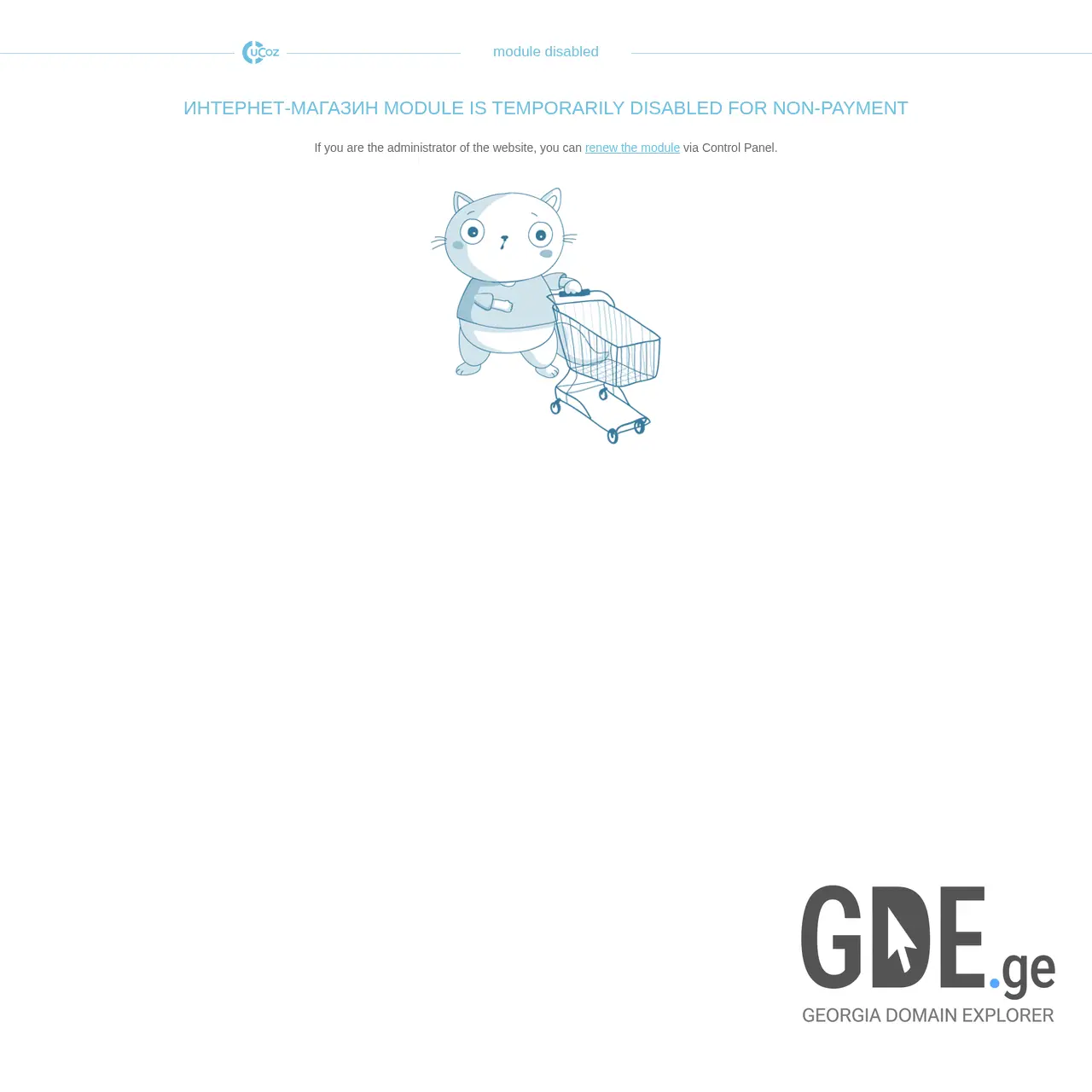 Screenshot of the site zenstore.ge at 2025-12-12