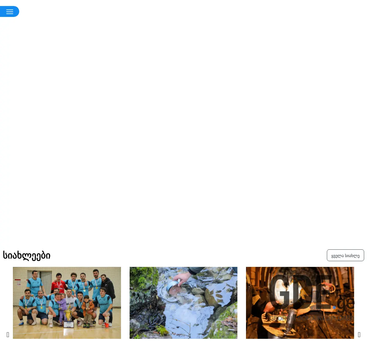 Screenshot of the site zfz.ge at 2025-11-25