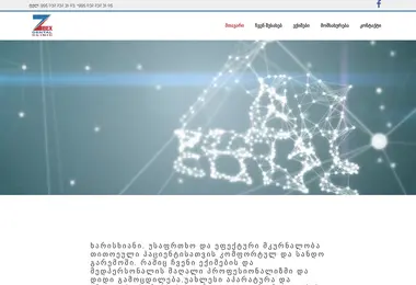 Screenshot of zibex.ge