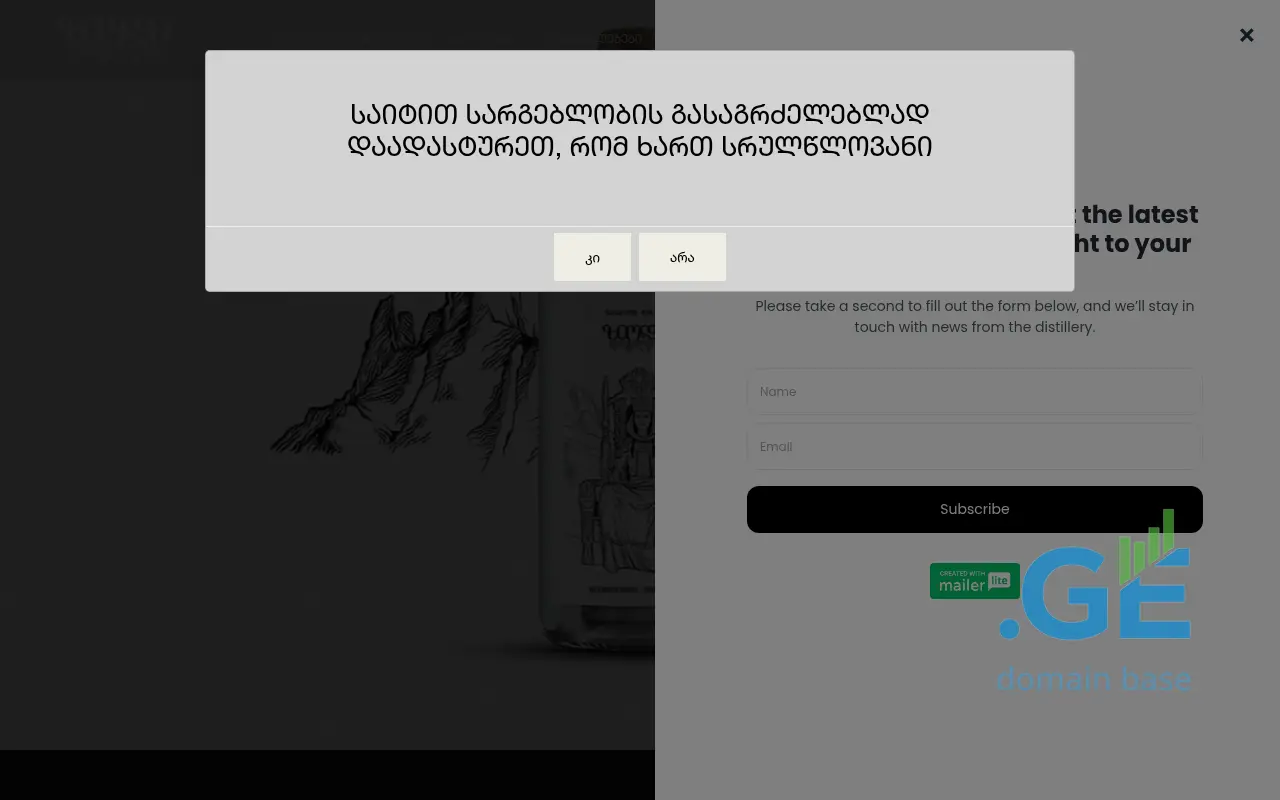 Screenshot of the site ziodi.ge
