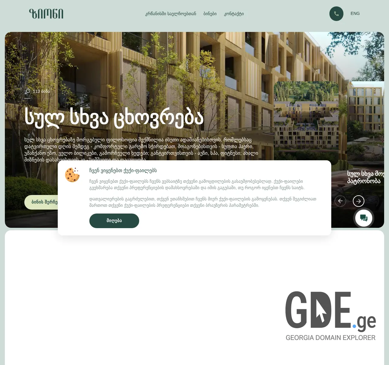 Screenshot of the site zion.ge at 2025-11-25