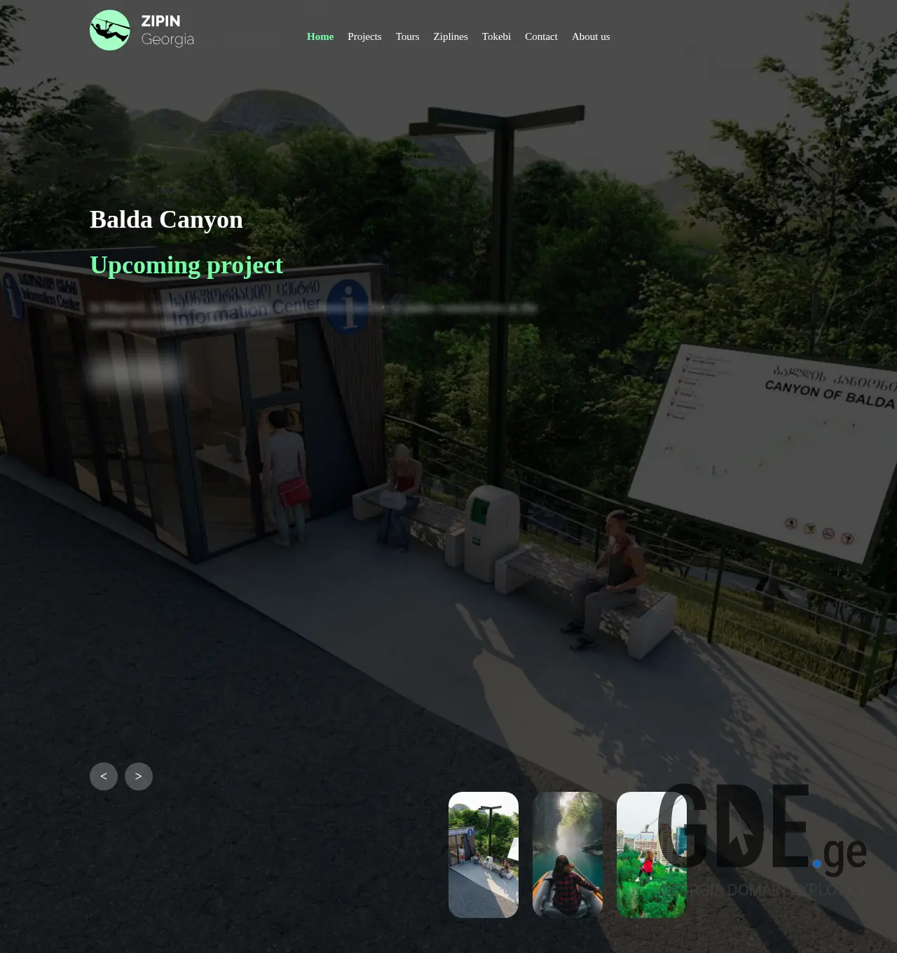 Screenshot of the site zipline.ge at 2025-11-30