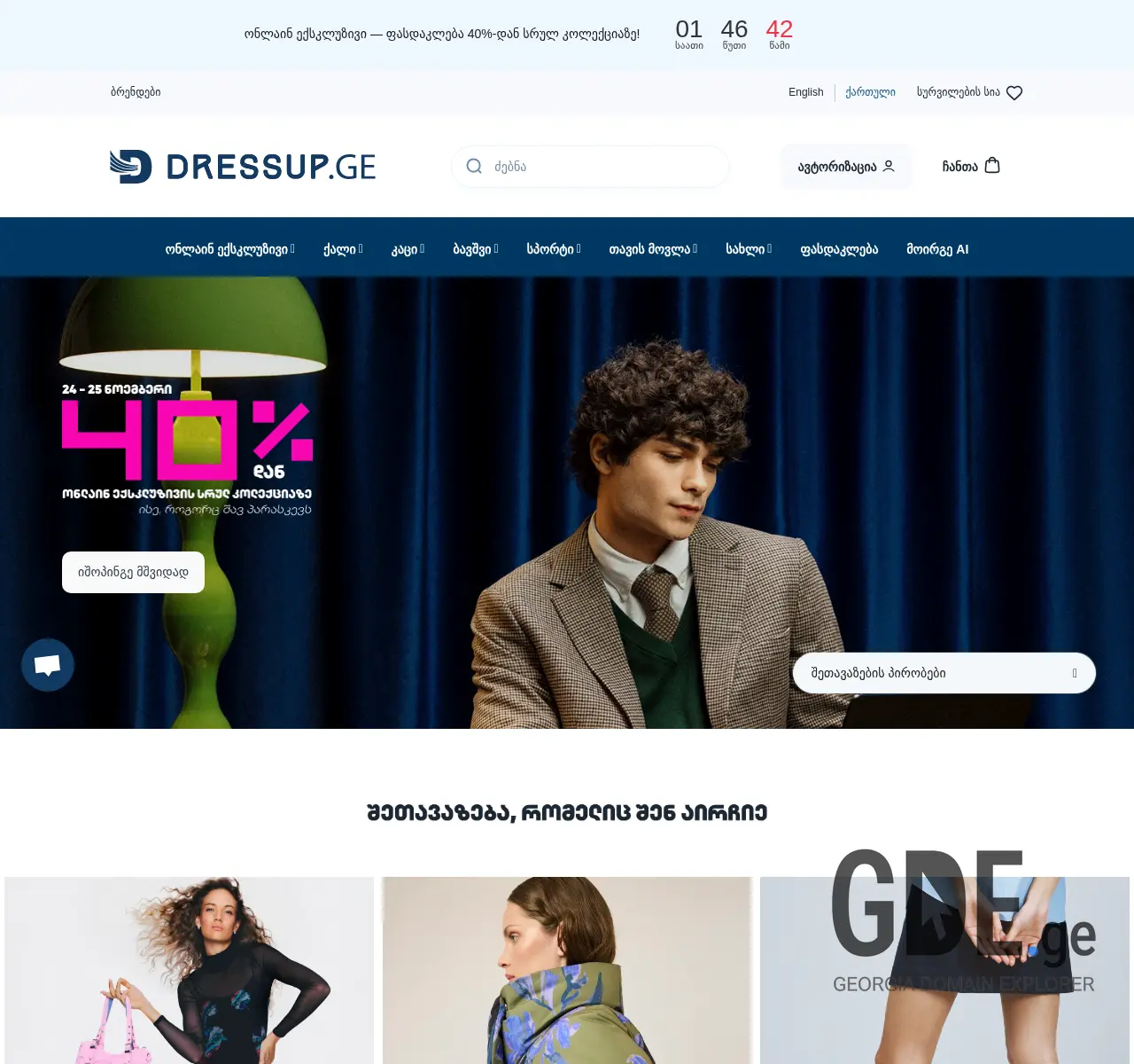 Screenshot of the site zippy.ge at 2025-11-25