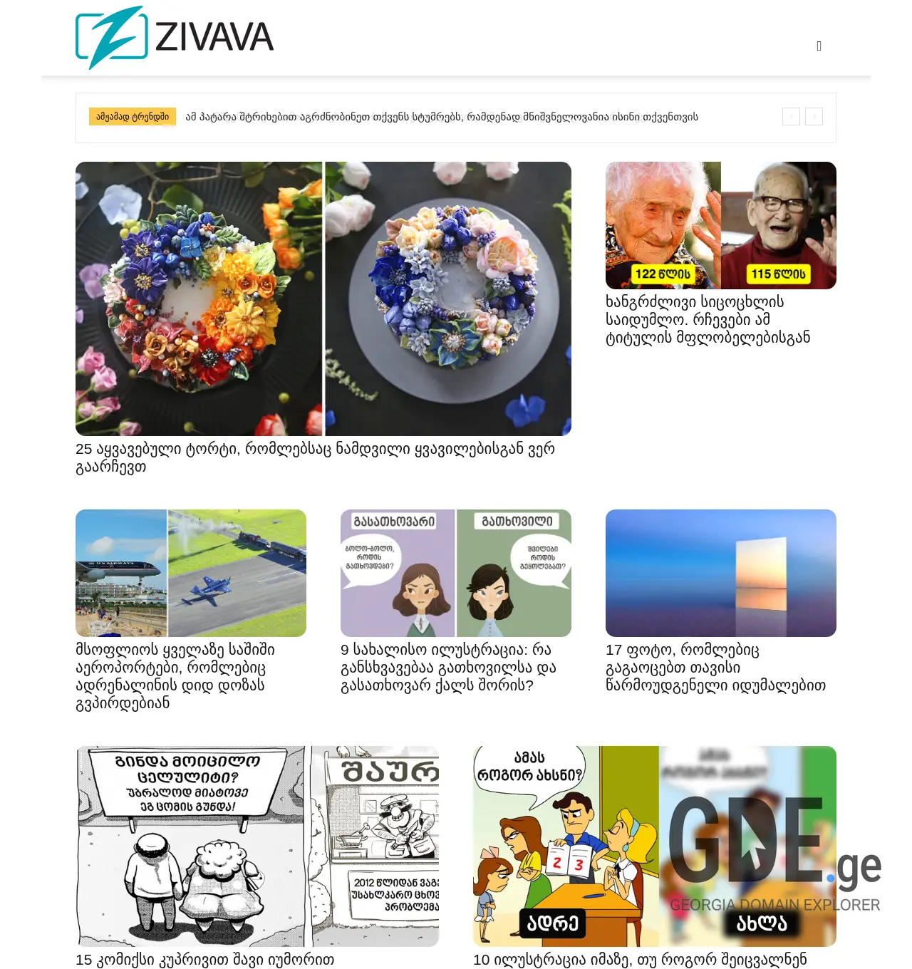Screenshot of the site zivava.ge at 2025-11-30