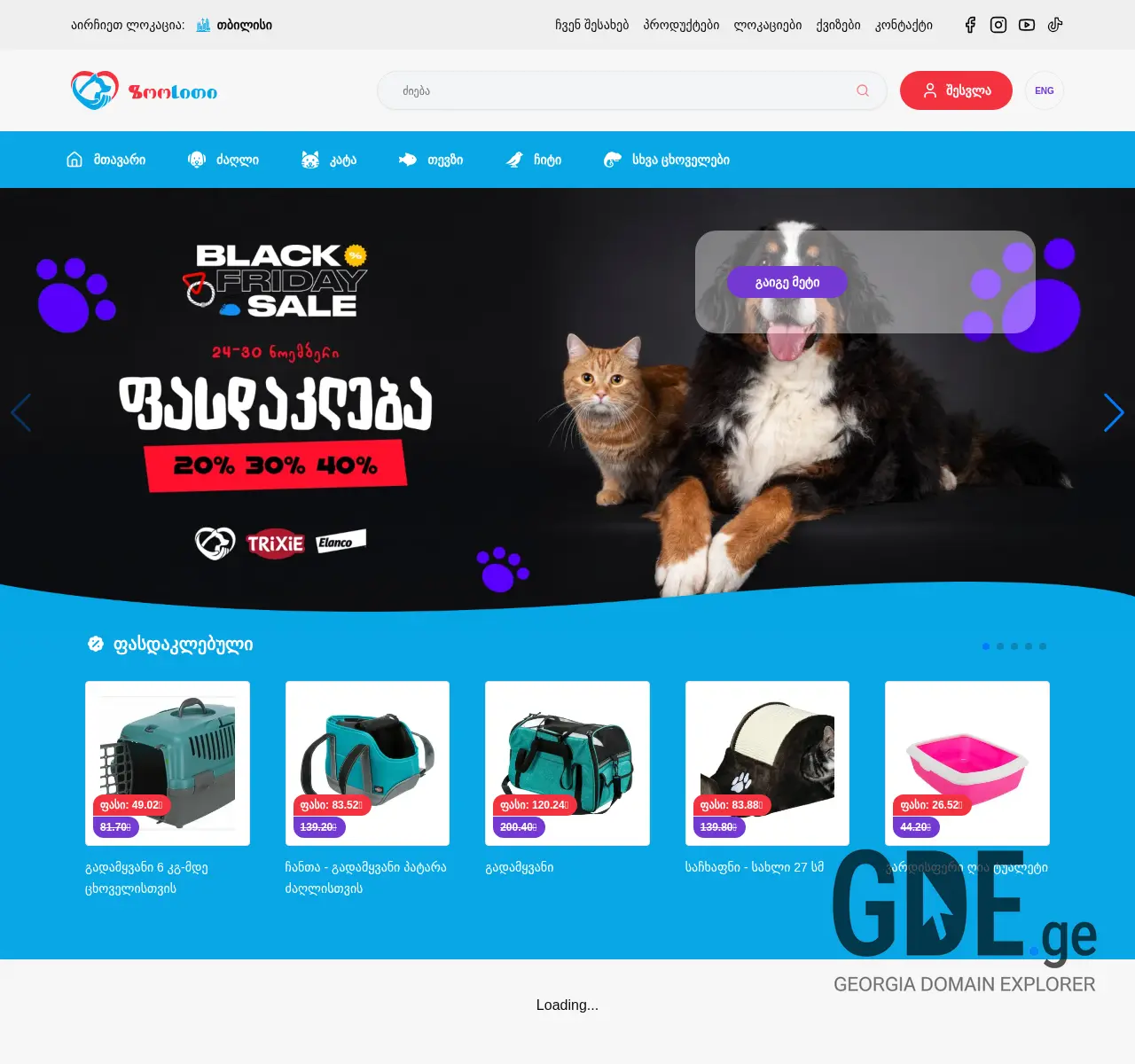 Screenshot of the site zoocity.ge at 2025-11-25