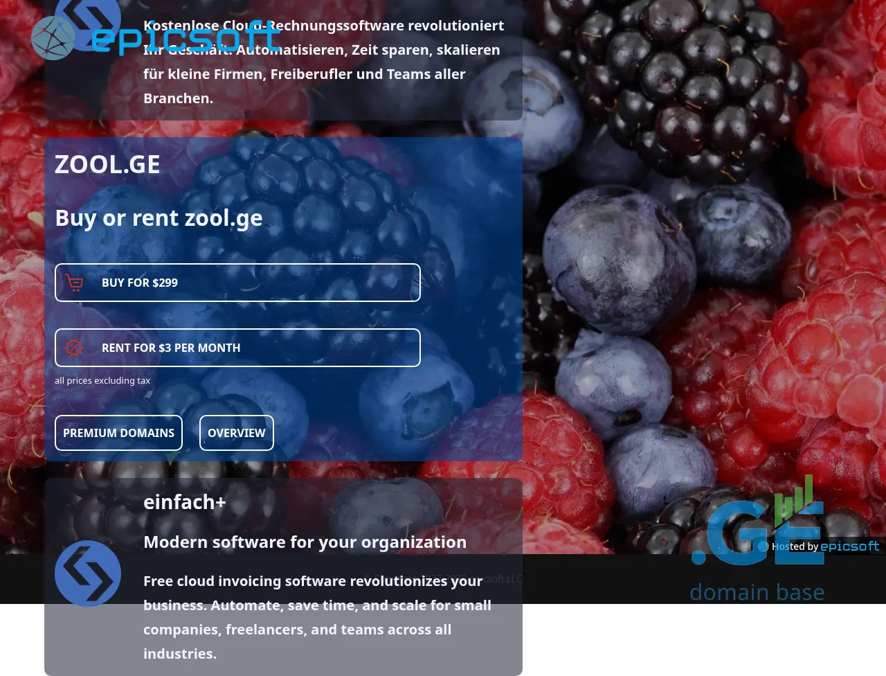 Screenshot of the site zool.ge
