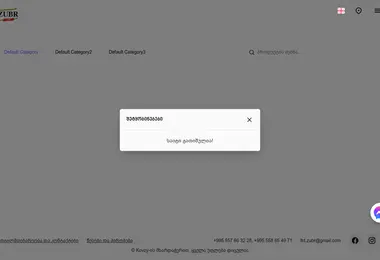 Screenshot of zubr.ge